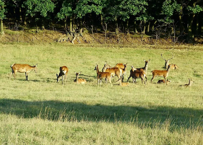 Grand Hotel Řevnice
